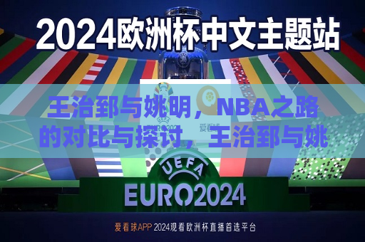 王治郅与姚明，NBA之路的对比与探讨，王治郅与姚明，NBA之路的对比，王治郅与姚明，NBA之路的对比与探索