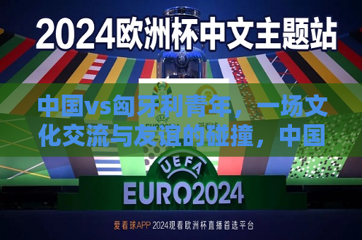 中国vs匈牙利青年，一场文化交流与友谊的碰撞，中国vs匈牙利青年，文化交流与友谊的盛宴，中国vs匈牙利青年，文化交流与友谊的盛宴