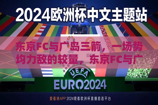 东京FC与广岛三箭，一场势均力敌的较量，东京FC与广岛三箭，势均力敌的较量即将上演，东京FC与广岛三箭上演势均力敌的对决  第1张
