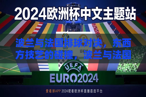 波兰与法国排球对决，东西方技艺的碰撞，波兰与法国排球对决，东西方技艺的较量