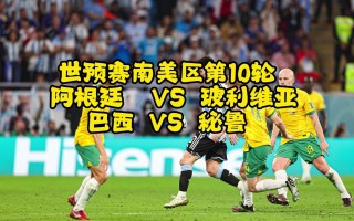 巴西vs玻利维亚录像(巴西vs玻利维亚录像视频)