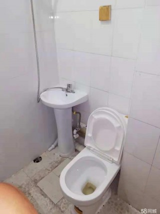 马桶型足球场(马桶型足球场设计图)
