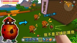 足球爆蛋(足球爆种是什么意思)