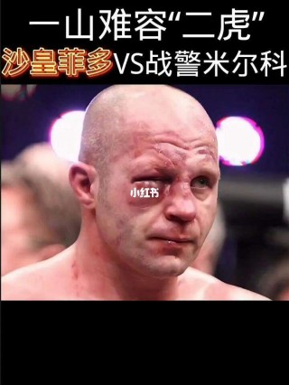 格斗沙皇菲多vs(拳皇mugen库拉vs完整视频)