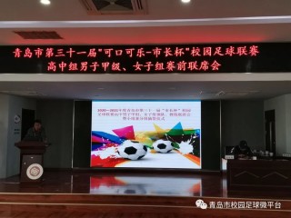 青岛足球信息(青岛 足球比赛)