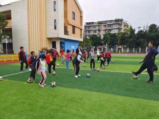 球市足球(球市比分下载)