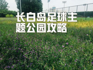 沈阳足球主题公园(沈阳足球主题公园有哪些)