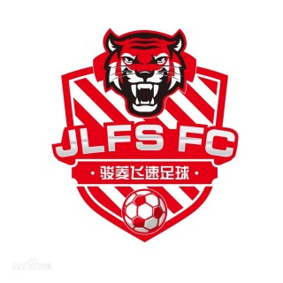 中国足球协会杯(中国足球协会杯14决赛)