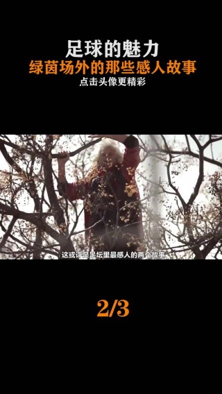足球感人故事(足球场上感人的故事)