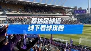 深圳足球对泰达足球对的简单介绍