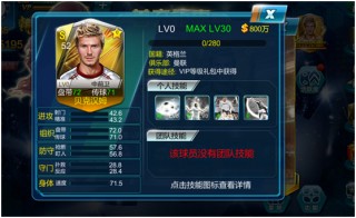 足球的id(足球的精神和意义)