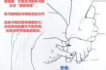 足球如何锻炼腿部肌肉(踢足球如何训练腿部力量)