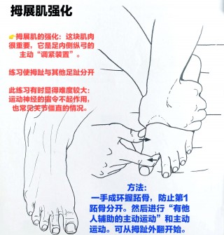 足球如何锻炼腿部肌肉(踢足球如何训练腿部力量)