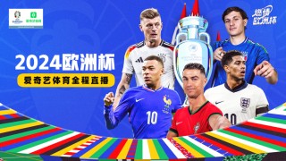 2024年欧洲杯夺冠概率分析(2024年欧洲杯夺冠概率分析图)，2024年欧洲杯夺冠概率分析图表背后的胜负预测，揭秘图表，预测胜负胜负胜负胜负胜负胜！揭秘欧洲杯夺冠概率背后的秘密