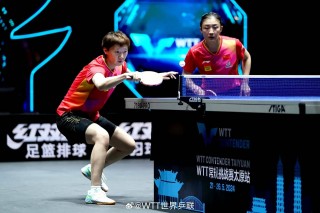 关于平野美宇vs刘诗雯的信息