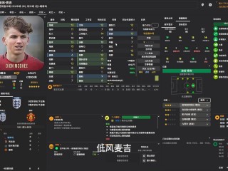 fm足球总监属性(fm足球总监看哪些属性)