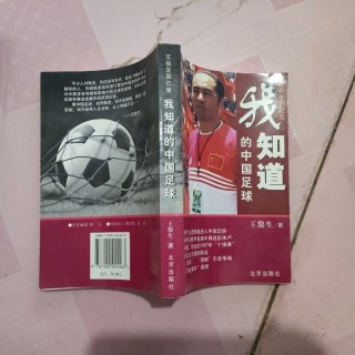 王俊生足球(王俊的球评文章)
