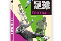 中国足球书(中国足球系列)