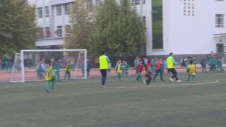 江苏少儿足球(江苏少儿足球省运会2024年在哪举行的)