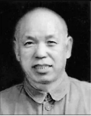 足球罗毅(足球明星 罗)