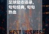 足球队口号大全(足球队口号大全霸气十足)