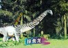足球龙(足球龙门有多少米宽)