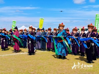草原足球(草原足球游戏摄影)