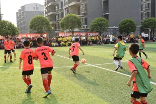学校举行足球比赛(学校举行足球比赛,A组和B组各有8支球队)
