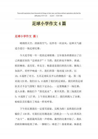 足球日语作文(足球比赛的日语)