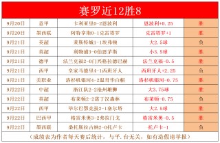 足球分网(足球分析哪个网最准)