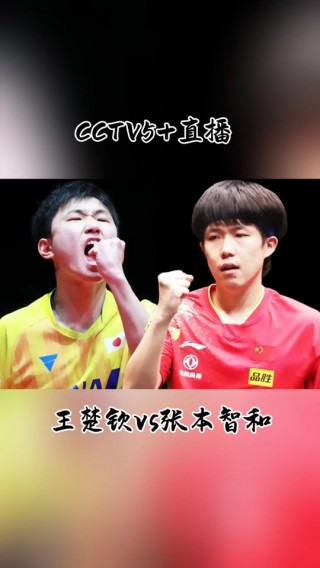 八一vs品胜(品胜vs罗马仕)