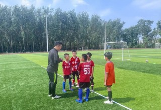 沈阳小学足球比赛视频(2034杯小学生足球大会辽宁)