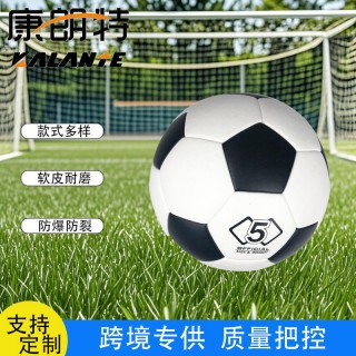 一般足球多少钱(多少钱的足球算比较好)