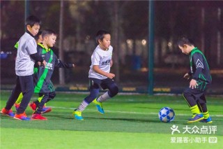 北京朝阳足球培训(北京足球培训机构收费标准)