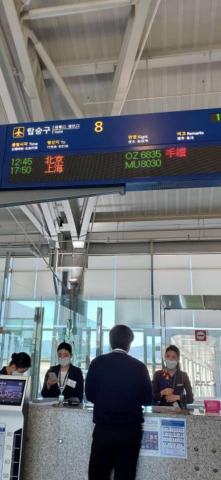 釜山vs金海(釜山的海是什么海)