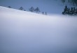 足球雪原网(雪园足球直播)