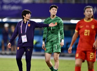 韩国vs朝鲜主场(韩国和朝鲜足球比赛观看)，韩国与朝鲜足球对决，主场之战，韩国与朝鲜足球对决，主场之战