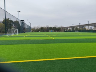 洪庙足球基地(洪庙足球基地在哪里)