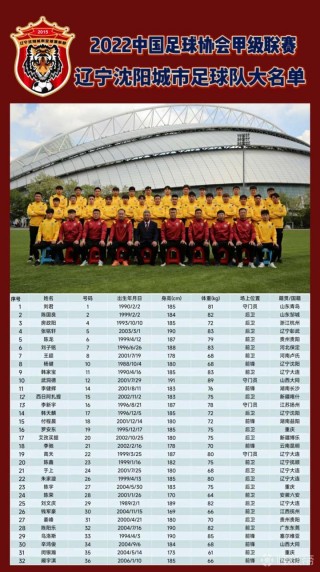 中国足球队人员名单(中国足球队员名单大全)