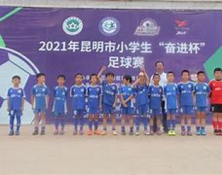杨林林足球(杨林足球运动员)