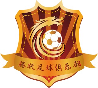 足球协(足球协会FA)