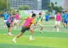 澳门足球场(澳门足球场面积)
