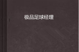 足球经理972007(足球经理2025发售时间)