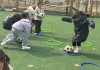 幼儿足球训练视频(幼儿足球基础训练步骤视频)