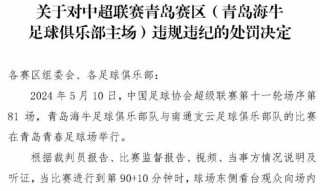 足球比赛报告(足球比赛报告总结)