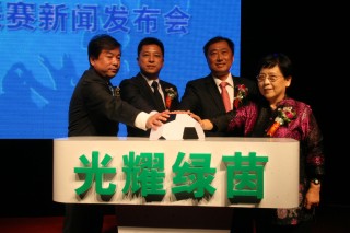 雷曼足球(雷曼足球队18号)