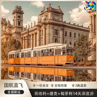 捷克vs德国推荐(捷克vs德国推荐球队)