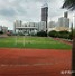 新塘中学足球联赛排名(新塘中学体育馆对外开放吗)，新塘中学足球联赛排名与体育馆对外开放情况