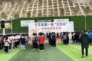 蓝鹰足球(蓝鹰足球俱乐部是哪一个)