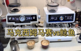鲶鱼vs(鲶鱼VS黑鱼)